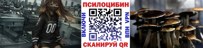 Купить  Серпухов  Псилоцибиновые грибы прущие грибы 